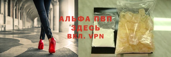 прущие грибы Баксан