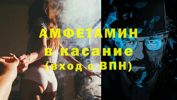 прущие грибы Баксан