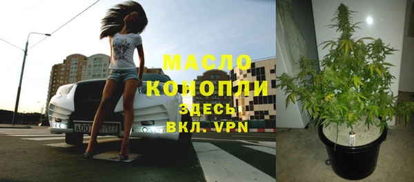 прущие грибы Баксан