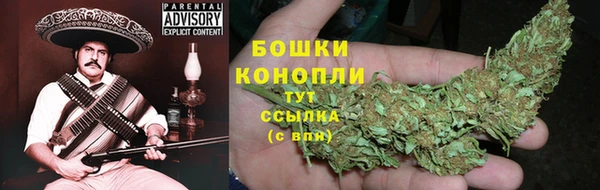 прущие грибы Баксан