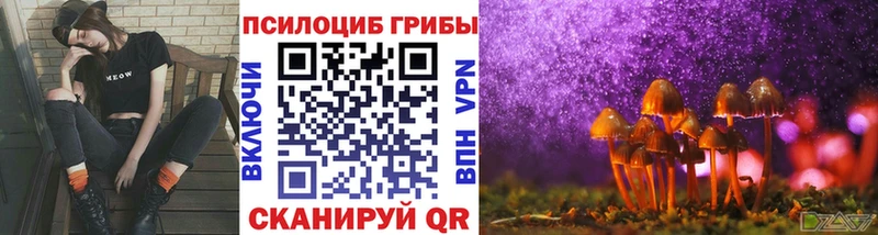 Псилоцибиновые грибы мицелий  наркошоп  Котельниково 
